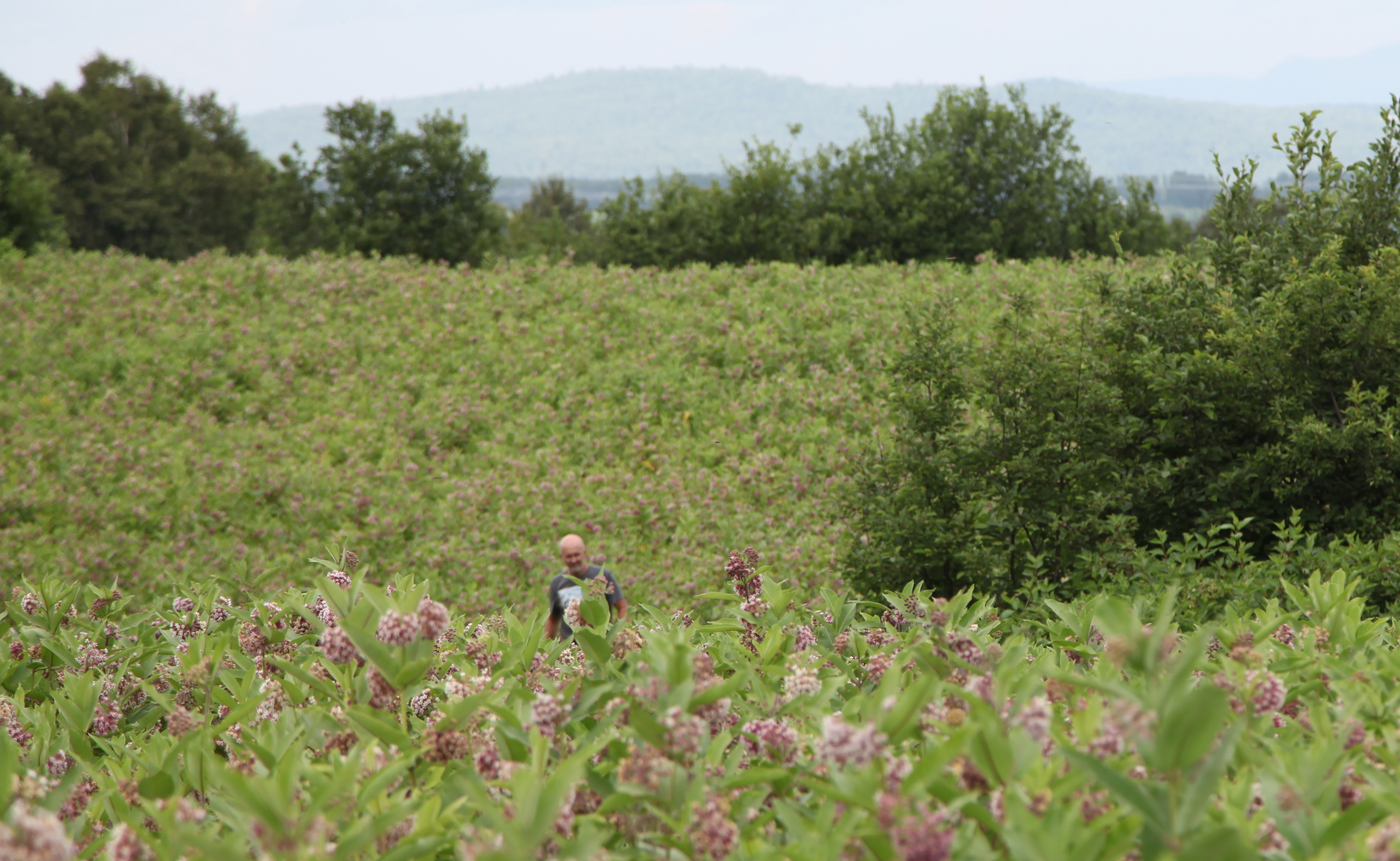 Martin Dufour producteur président Coopérative Monark