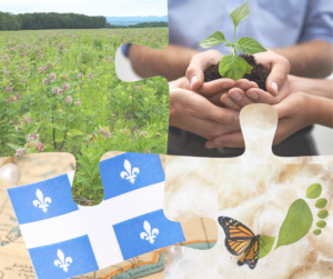 Matières végétales québécoises et asclépiade Priorité Coopérative Monark